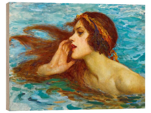 Quadro de madeira A little sea maiden