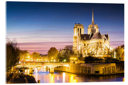 Acrylic print Notre Dame illuminated at night, Paris