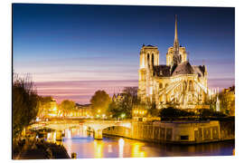 Cuadro de aluminio Catedral de Notre Dame en París