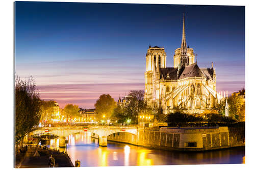 Gallery print Notre Dame illuminated at night, Paris