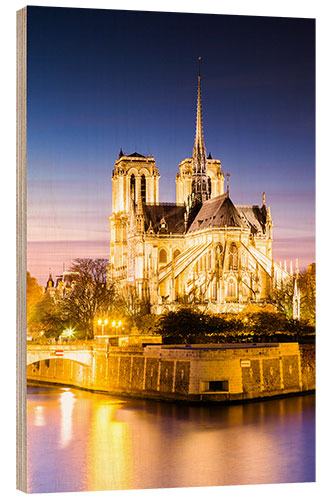 Quadro de madeira Notre Dame, illuminated at dusk, Paris