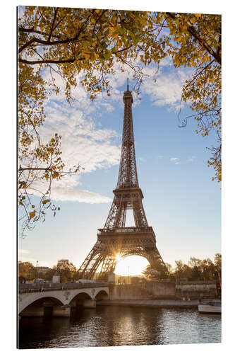 Gallery print Jena bridge and Eiffel tower in autumn, Paris, France