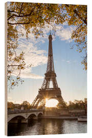 Puutaulu Jena bridge and Eiffel tower in autumn, Paris, France