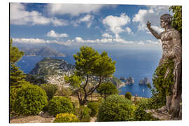 Tableau en aluminium Monte Solaro on Capri (Italy)