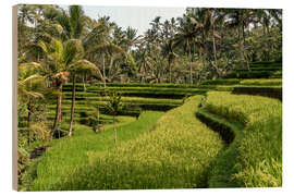 Print på træ Bali rice terrace