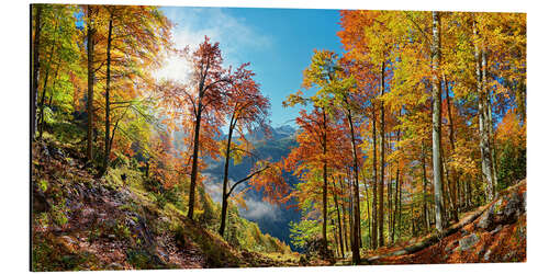 Aluminiumtavla Mountain forest in autumn