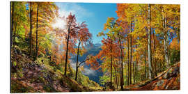 Aluminium print Mountain forest in autumn