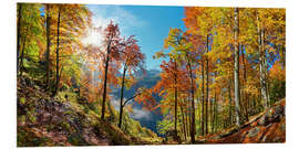 Foam board print Mountain forest in autumn