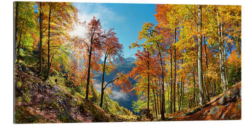 Gallery Print Leuchtender Bergwald im Herbst