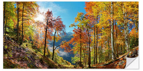 Vinilo para la pared Mountain forest in autumn