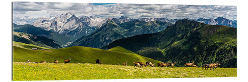 Tableau en plexi-alu Alps Dolomites