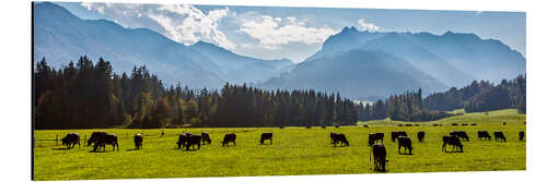 Alumiinitaulu Alps panorama