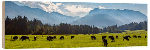 Tableau en bois Vue panoramique sur les Alpes