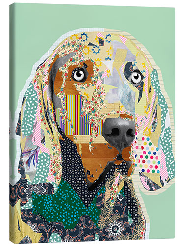 Leinwandbild Weimaraner Collage