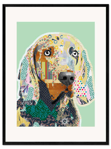 Framed art print Weimaraner Collage