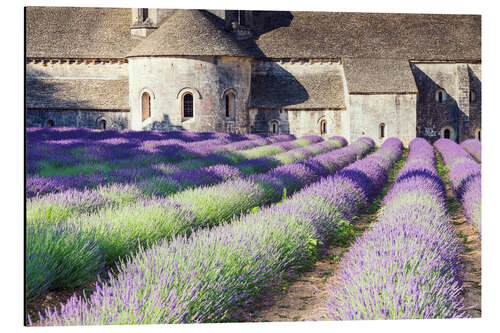 Stampa su alluminio Abbazia di Sénanque con il suo campo di lavanda, Provenza, Francia