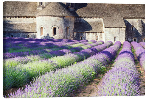 Canvas print Famous Senanque abbey with its lavender field, Provence, France