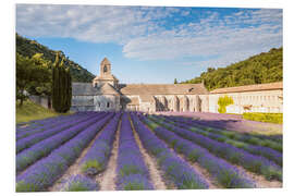 Foam board print Famous Senanque abbey with lavender field, Provence, France