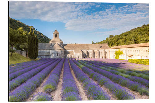 Gallery print Famous Senanque abbey with lavender field, Provence, France