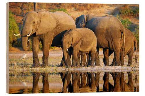 Holzbild Elefanten am Fluss, Afrika wildlife