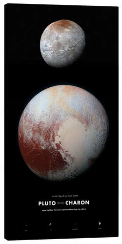 Quadro em tela Pluto family portrait