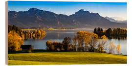 Obraz na drewnie Lake in Bavaria with Alps