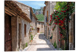 Quadro em plexi-alumínio Saint Guilhem