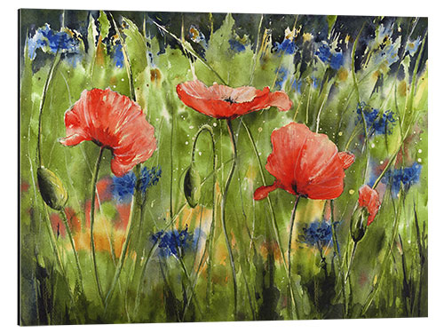 Tableau en aluminium Trois coquelicots