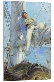 Magnettafel Schlafender Segler