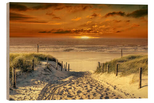 Obraz na drewnie To the beach, through the dunes.