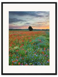 Gerahmter Kunstdruck Mohnblumenwiese