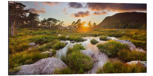 Aluminium print Norwegian Landscape III