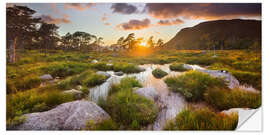 Vinilo para la pared Norwegian Landscape III