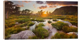 Holzbild Norwegische Landschaft III