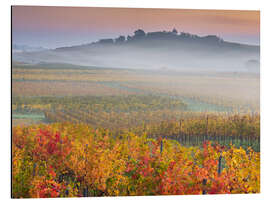 Cuadro de aluminio Vineyards IV