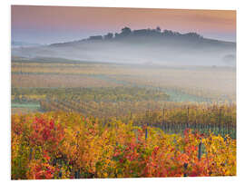 Hartschaumbild Weinberge IV