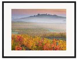 Gerahmter Kunstdruck Weinberge IV