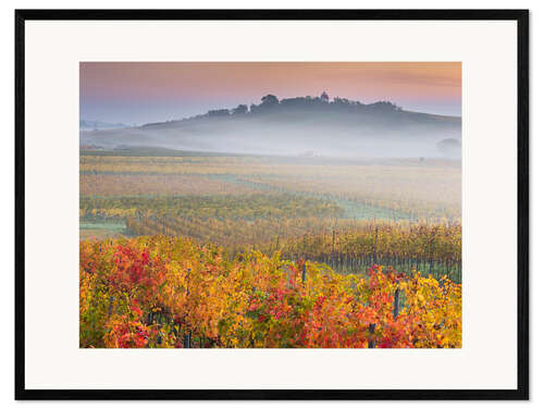 Framed art print Vineyards IV