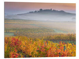 Quadro em plexi-alumínio Vineyards IV