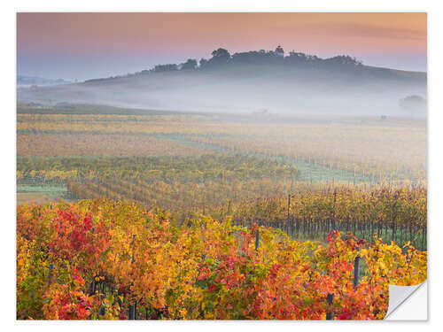 Naklejka na ścianę Vineyards IV