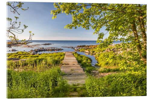 Acrylic print Path to the Sea (Bornholm, Denmark)