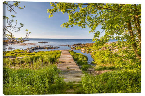 Canvas print Path to the Sea (Bornholm, Denmark)