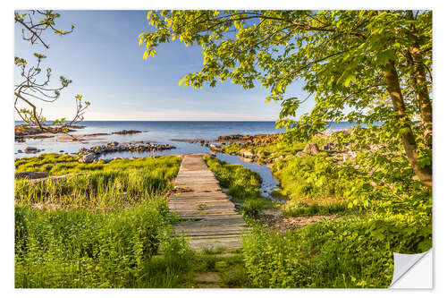 Autocolante decorativo Path to the Sea (Bornholm, Denmark)