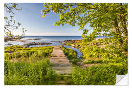 Vinilo para la pared Path to the Sea (Bornholm, Denmark)