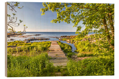 Trätavla Path to the Sea (Bornholm, Denmark)