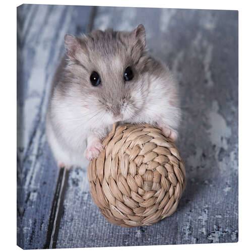 Lærredsbillede Hamster I