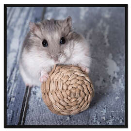 Gerahmter Kunstdruck Hamster I