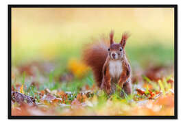 Gerahmter Kunstdruck jetzt bloß nicht bewegen