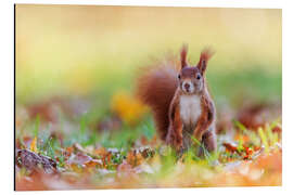 Magnettafel jetzt bloß nicht bewegen