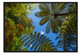 Gerahmter Kunstdruck willkommen im dschungel